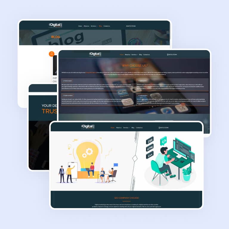 portfolio